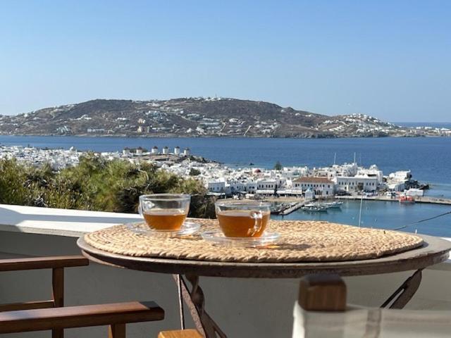 Apartament Anemones Sea View Mykonos Town Pokój zdjęcie